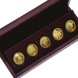  Big Five II: Buffalo 5 x 1 oz Gold 2021-2023 Proof