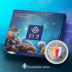 Saint-Christophe-et-Niévès : Coquillage coloré 1 once d'argent 2023 Proof