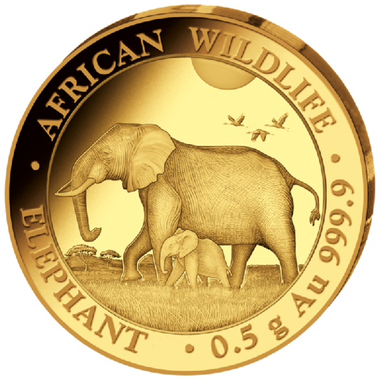 African Wildlife: Somalia Elephant 0.5 gram Gold 2022 Proof