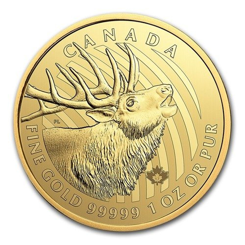 Call of the Wild: Elk 1 oz Gold 2017 (coin in card)