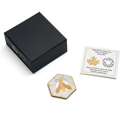 Canada: Nature's Delight, The Honey Bee pozłacany $20 Srebro 2025 Reverse Proof