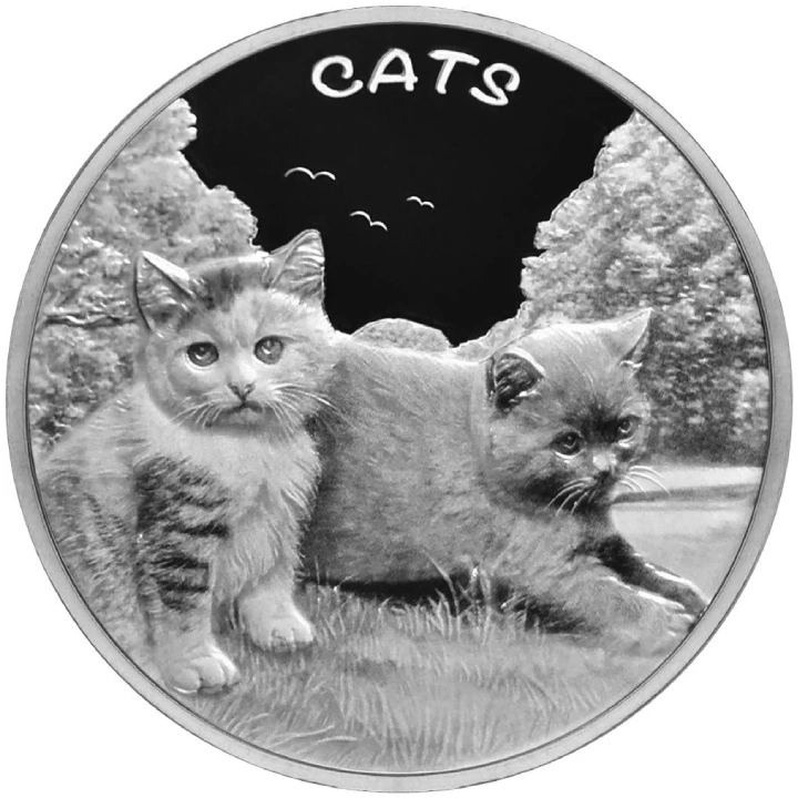 フィジー　猫　銀　1oz フィジー 猫 銀 1oz Silver Ounce 2021 Cats, Coin from Fiji