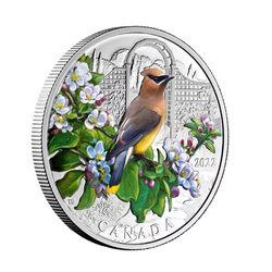 Canada: Colourful Birds: Cedar Waxwing coloured 1 oz Silver 2022 Proof Coin