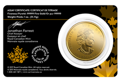 Llamada de la naturaleza: Golden Moose 1 oz Oro 2019