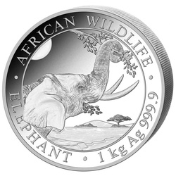 Faune africaine : Éléphant de Somalie 1000 grammes d'argent 2023