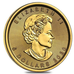 Hoja de Arce Canadiense 1/10 oz Oro 2020