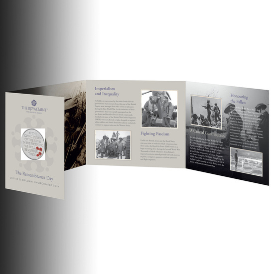 The Remembrance Day colorée 28,28 grammes de cupronickel 2021