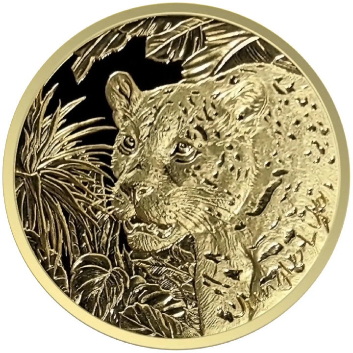 Samoa: Vita nella giungla - Giaguaro 1 oncia d'oro 2024 Prooflike