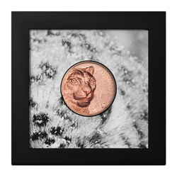 Mongolia: Leopardo delle nevi 50 grammi di rame 2024 Prooflike