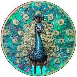 Cook Islands: Spectrum – Peacock kolorowany 1 uncja Srebra 2025 Prisma Proof
