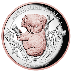 Ausztrál koala 5 uncia ezüst 2021 Proof magas dombornyomott aranybevonatú