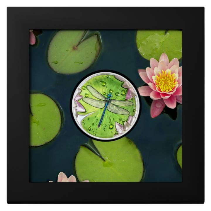 Palau: Lily Pad - Dragonfly colorato 1 oncia d'argento 2024 Proof Ultra High Relief