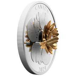 Canada: The Dragonfly and the Bloom pozłacany $50 Srebro 2024 Proof
