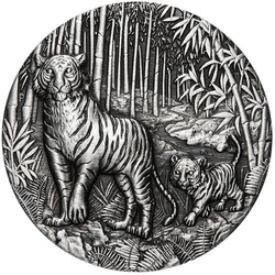 Lunar III: Year of the Tiger 2 oz Silver 2022 Antiqued Coin