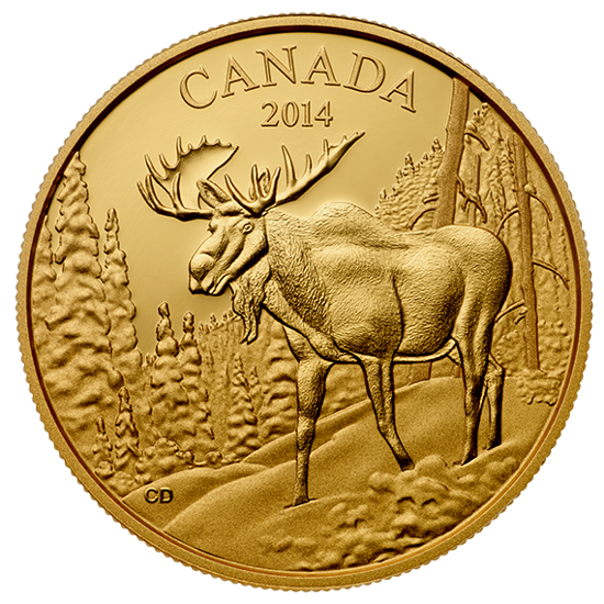Majestic Moose 35 gramos Oro 2014 Proof