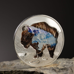 Mongolia: Into the Wild - Bison coloured 2 oz Silver 2023 Proof Ultra High Relief