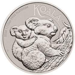 Koala 1/10 uncji Platyny 2023