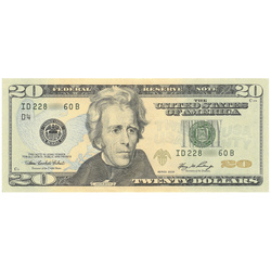 Banknot USA 20 Dolarów (20 U.S. dollars / 20 USD) UNC 100 sztuk