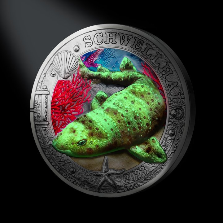 Swell Shark coloured 3 Euro Copper 2023