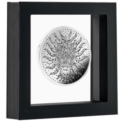 Niue: Year of a Dragon 1/2 oz Silver 2024 Prooflike