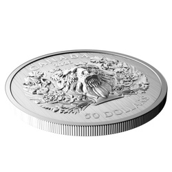 Kanada: Heraldikai oroszlán 50 dollár ezüst 2025 Proof magas domborzat