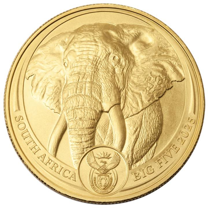 Big Five: Elefante 1 oncia d'oro 2025