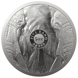 Big Five II: Elephant 5 uncia ezüst 2021 Proof