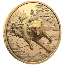 Canada: Great Hunters - Grey Wolf $200 Złoto 2025 Proof Ultra High Relief Coin