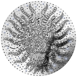 Niue: Año del Dragón 1000 gramos Plata 2024 Prooflike