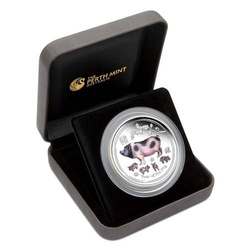 Lunar II: Rok Świni kolorowany 2 uncje Srebra 2019 Proof (Brisbane Money Expo)