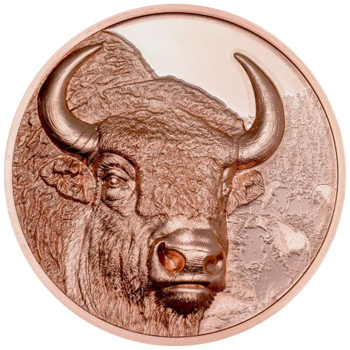 Mongolei: Bison 50 Gramm Kupfer 2025 Prooflike