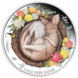 Dreaming Down Under: Śpiący Kangurek kolorowany 1/2 uncji Srebra 2021 Proof