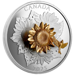 Canada : Le Chardonneret et la Fleur plaqué or 50 Argent 2025 Proof