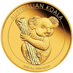Koala 5 uncji Złota 2020 Proof
