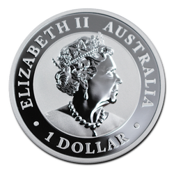 Wildpferde Australiens - Brumby 1 oz Silbermünze 2020