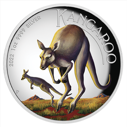 Australijski Kangur kolorowany 1 uncja Srebra 2022 Proof High Relief
