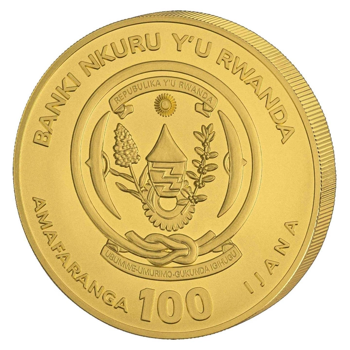 Ruanda: African Ounce – Foltos hiéna 1/12 uncia arany 2026