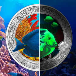 Blue Doctorfish coloured 3 Euro Copper 2024
