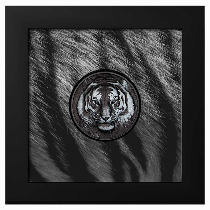 Isole Cook: Black and White - Tigre 1 oncia d’argento 2025 Obsidian Black Proof