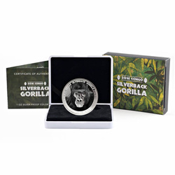 Congo: Goryl srebrnogrzbiety kolorowany 1 uncja Srebra 2016 Proof