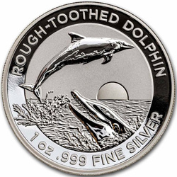Rough-Toothed Dolphin 1 once d'argent 2023 Proof Ultra High Relief
