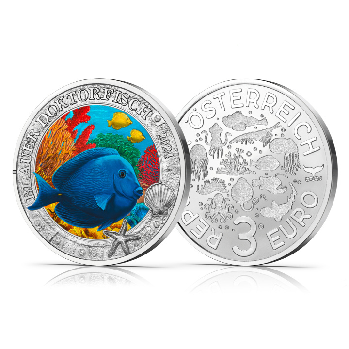 Blue Doctorfish kolorowany 3 Euro Miedź 2024