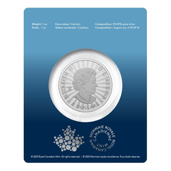 Canada: The Majestic Polar Bear 1 oz Silver 2023 Coin (in the card)