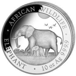 African Wildlife: Słoń Somalijski 10 uncji Srebra 2022