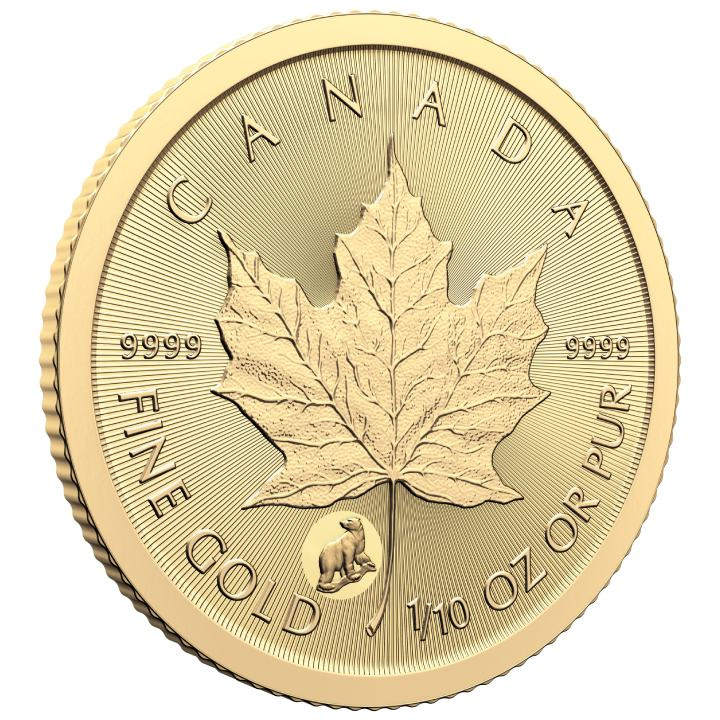 Foglia d'acero canadese Treasured 1/10 oncia d'oro 2024 Polar Bear Privy Mark (First Strikes)