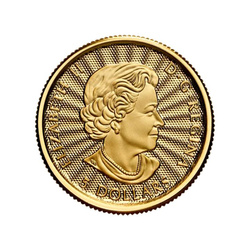 Canada : Le majestueux ours polaire 1/10 once d'or 2022