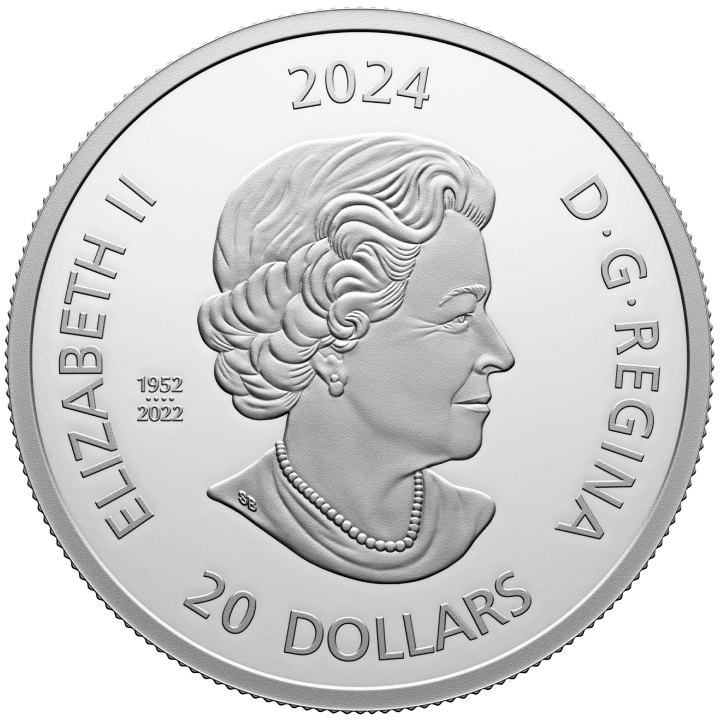 Canada: Wildlife Reflections - Grizzly Bear coloured $20 Silber 2024 Proof Coin