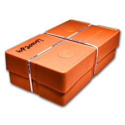 Americký bizon 1 unce zlata 2013