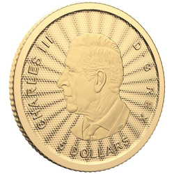 Canada : Le majestueux ours polaire 1/10 once d'or 2024 (sous carte)