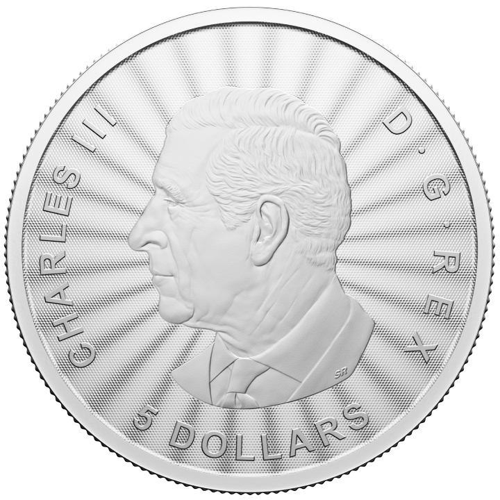 Canada: The Majestic Polar Bear 1 oz Silber 2024 Coin (in the card)